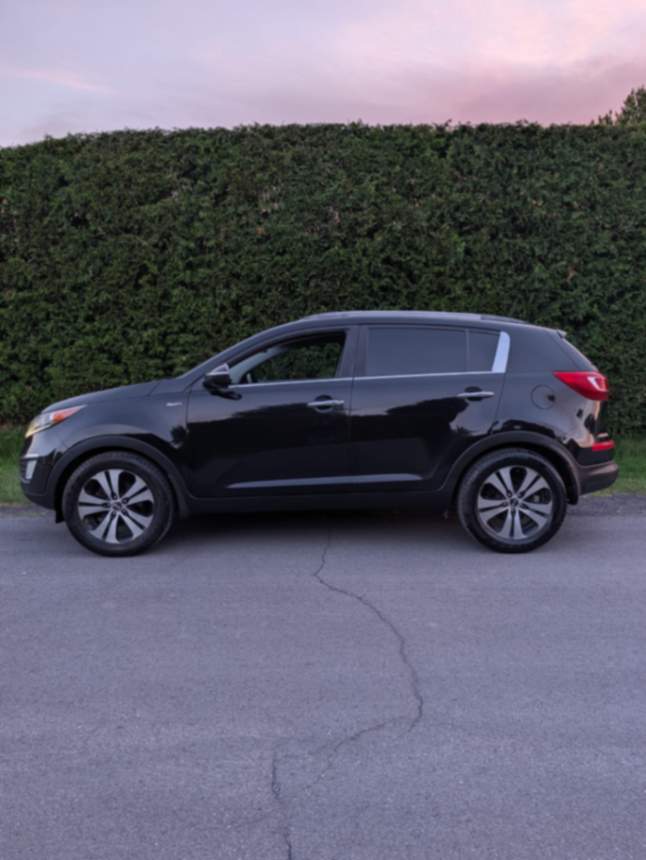 Kia sportage - view 7
