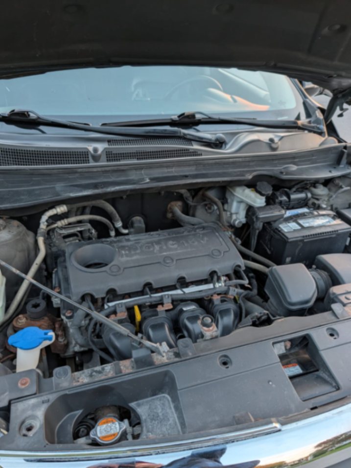 Kia sportage - view 16