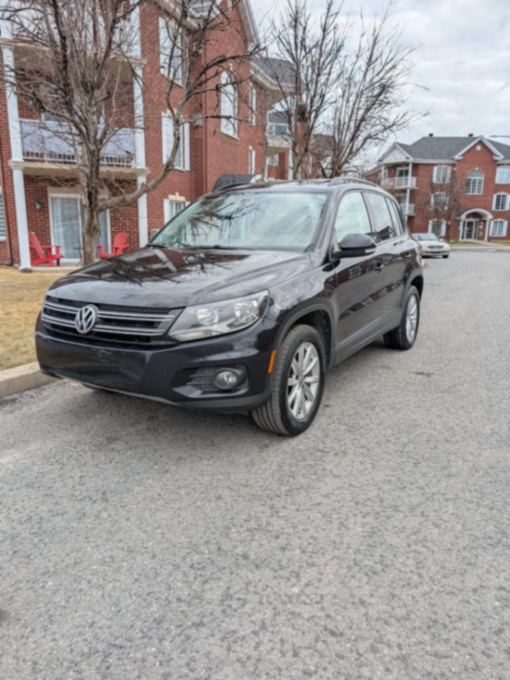Wolkswagen Tiguan Wolfsburg 2017 - view 2